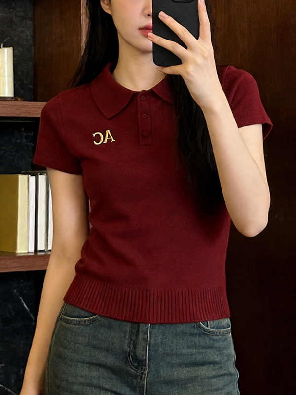 時尚休閑polo領短袖t恤女2026夏季新款輕奢顯瘦巨好看針織衫上衣