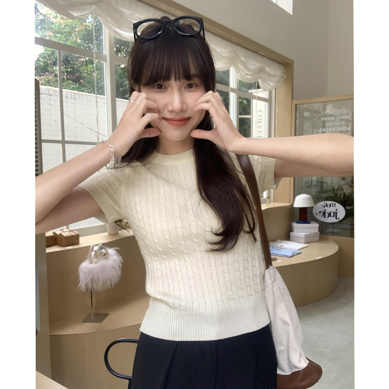設計感麻花紋純色針織短袖T恤女春秋2024新款圓領正肩上衣