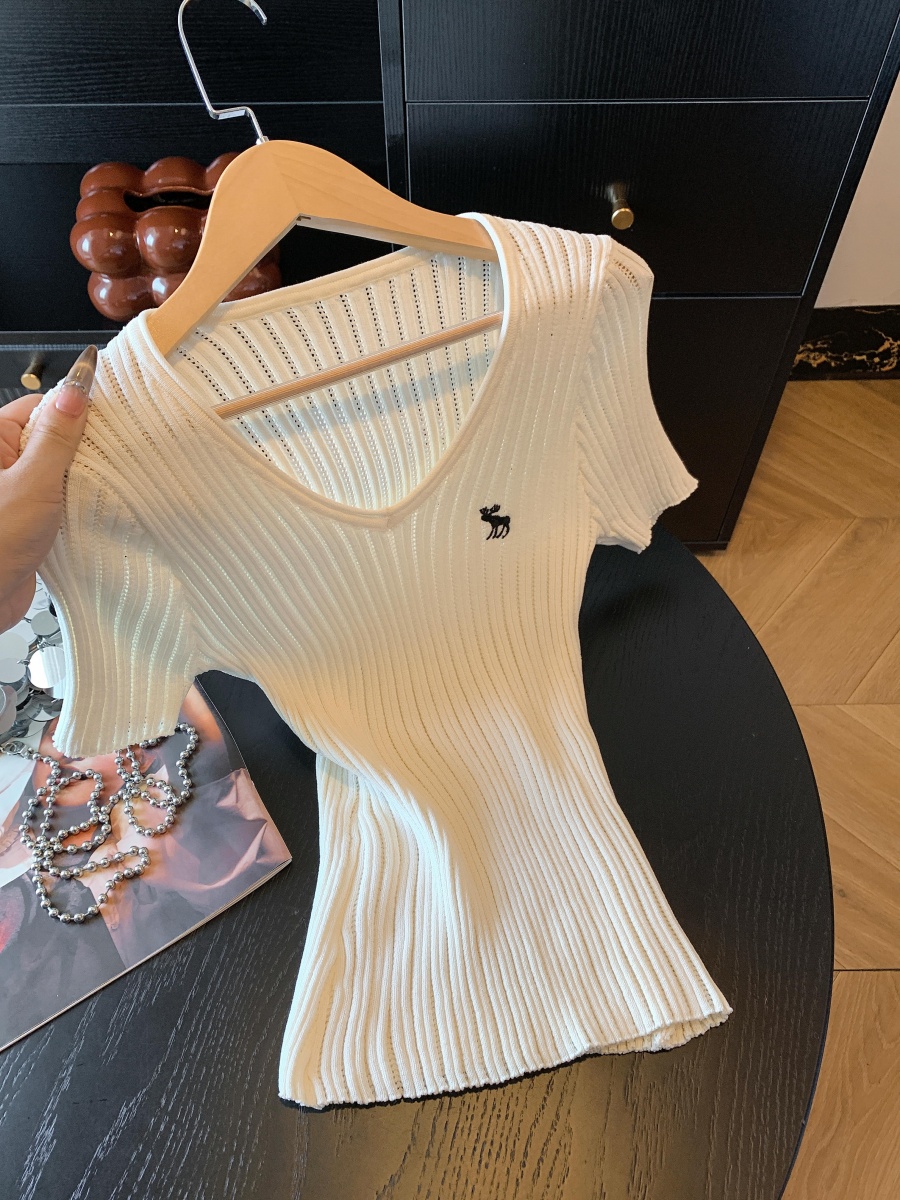 實拍V領刺繡坑條短袖修身針織衫女高級洋氣百搭夏季新款套頭小衫