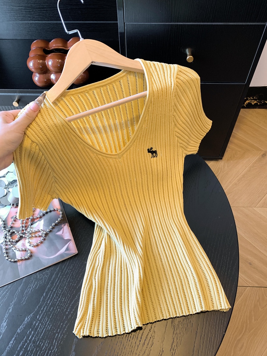 實拍V領刺繡坑條短袖修身針織衫女高級洋氣百搭夏季新款套頭小衫