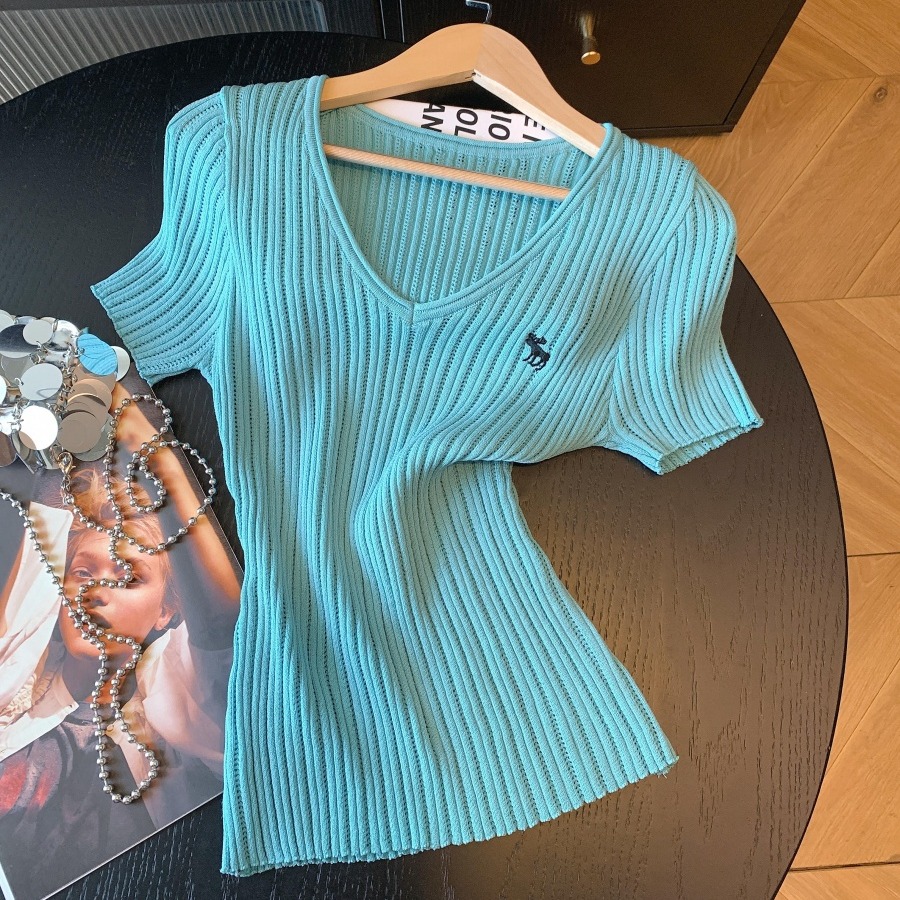 實拍V領刺繡坑條短袖修身針織衫女高級洋氣百搭夏季新款套頭小衫