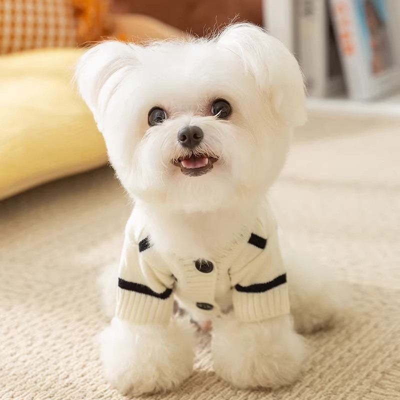 新款跨境黑白條紋中小型犬狗狗貓咪四季兩腳毛衣保暖寵物狗衣服