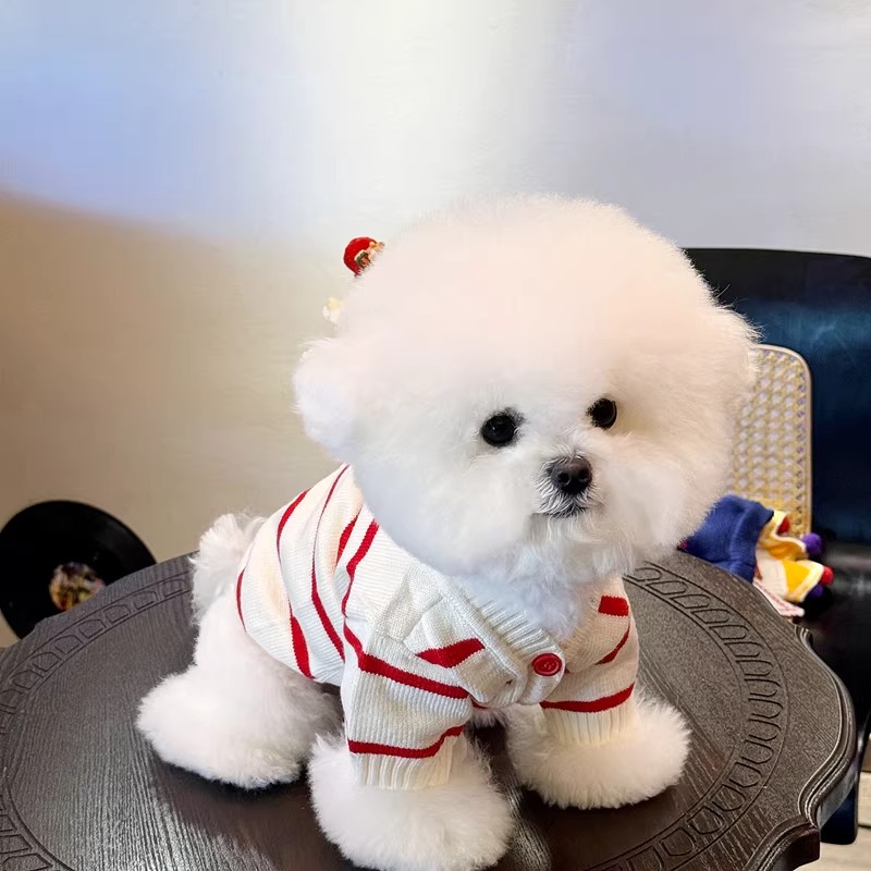 新款寵物衣服開衫毛衣2026狗狗衣服小型幼犬雪納瑞比熊博美寵物