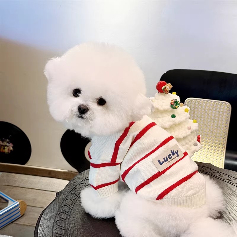新款寵物衣服開衫毛衣2026狗狗衣服小型幼犬雪納瑞比熊博美寵物