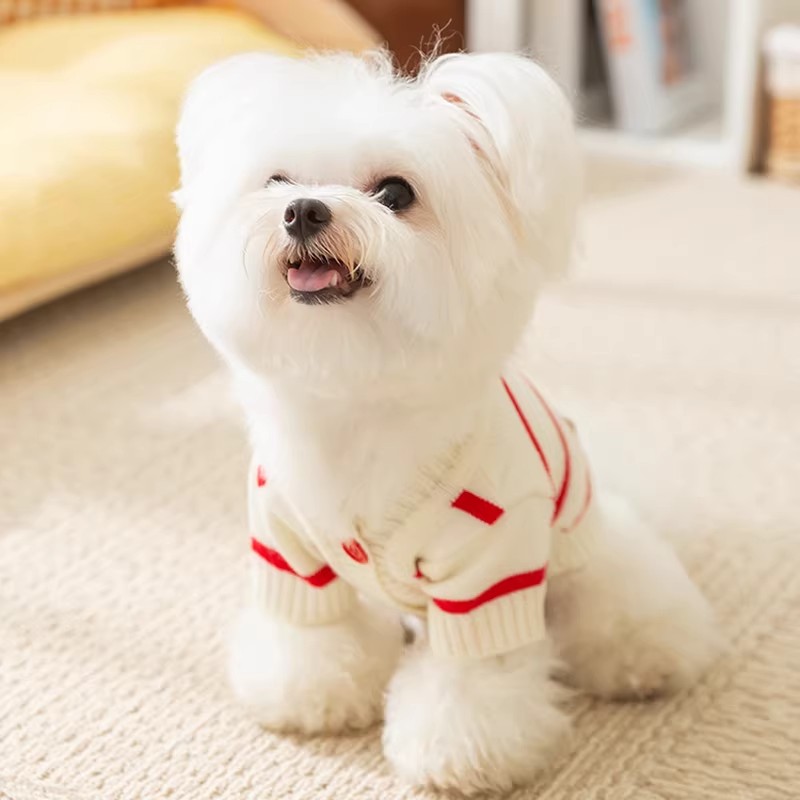 跨境小狗狗衣服寵物服飾泰迪比熊雪納瑞小型犬簡約條紋開衫毛衣