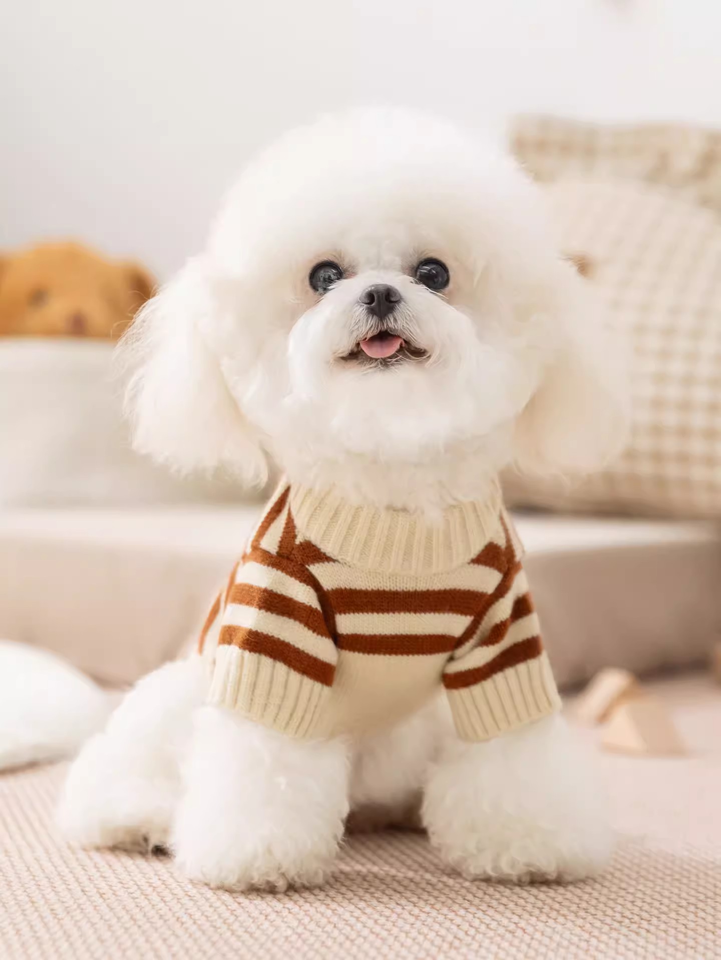 跨境狗狗衣服2026新款比熊泰迪雪納瑞小型犬嬉皮狗寵物小狗毛衣服