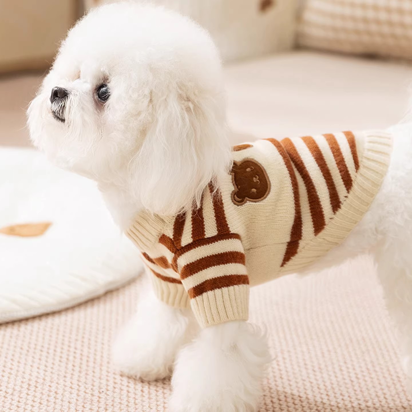 跨境西高地白梗專用衣服雪納瑞狗狗條紋兩腳四季毛衣小型犬