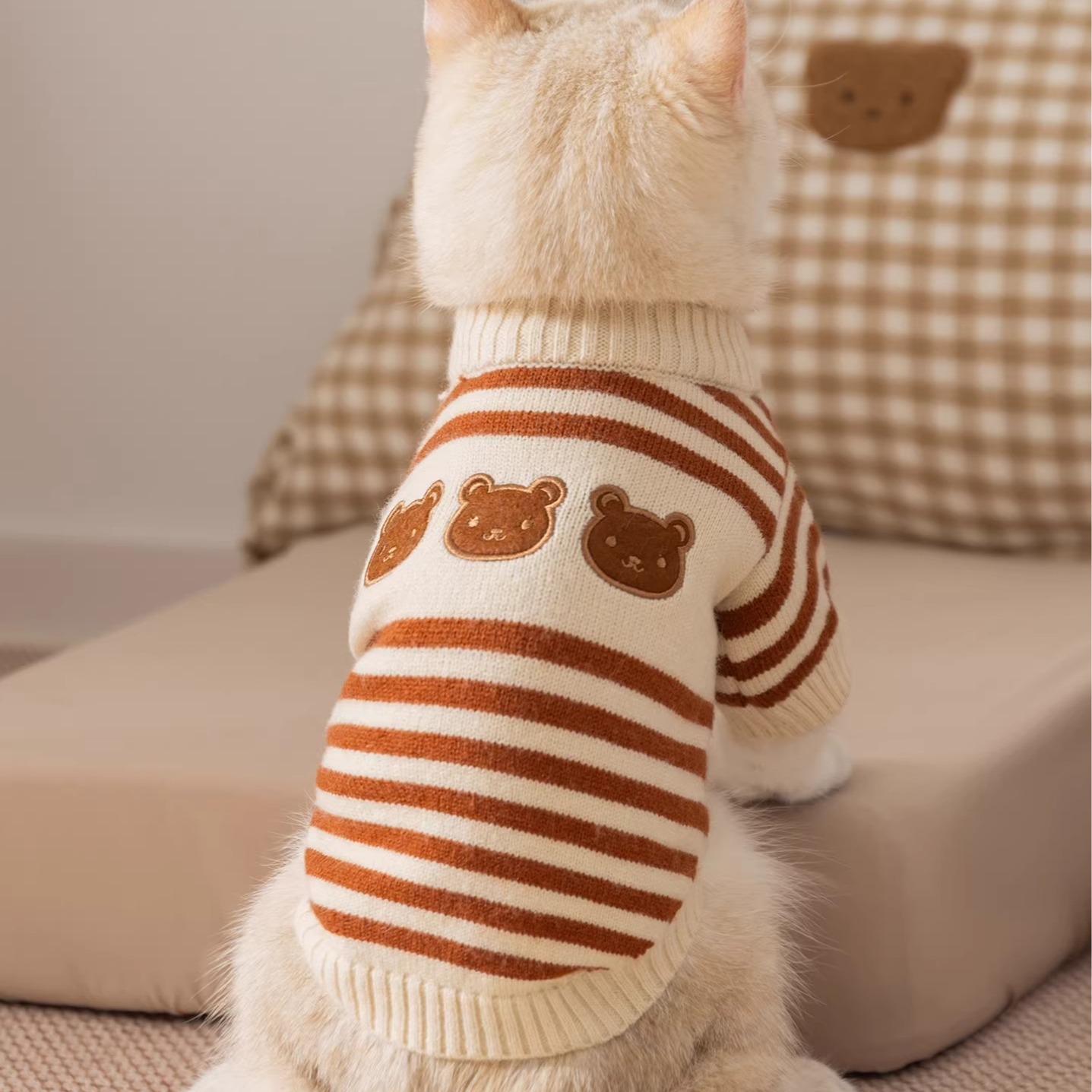 貓咪衣服保暖毛衣秋冬絨衣小貓的防掉毛家居服防著涼柔軟舒適馬甲
