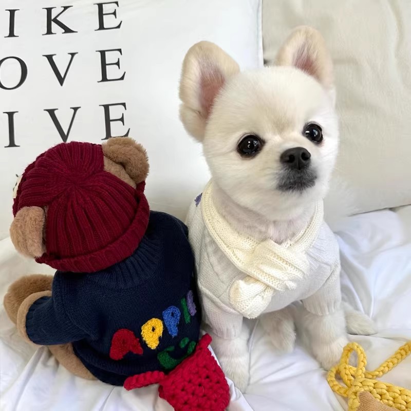 跨境寵物Apple套頭毛衣秋冬季泰迪比熊小型犬貓咪狗狗衣服春秋款