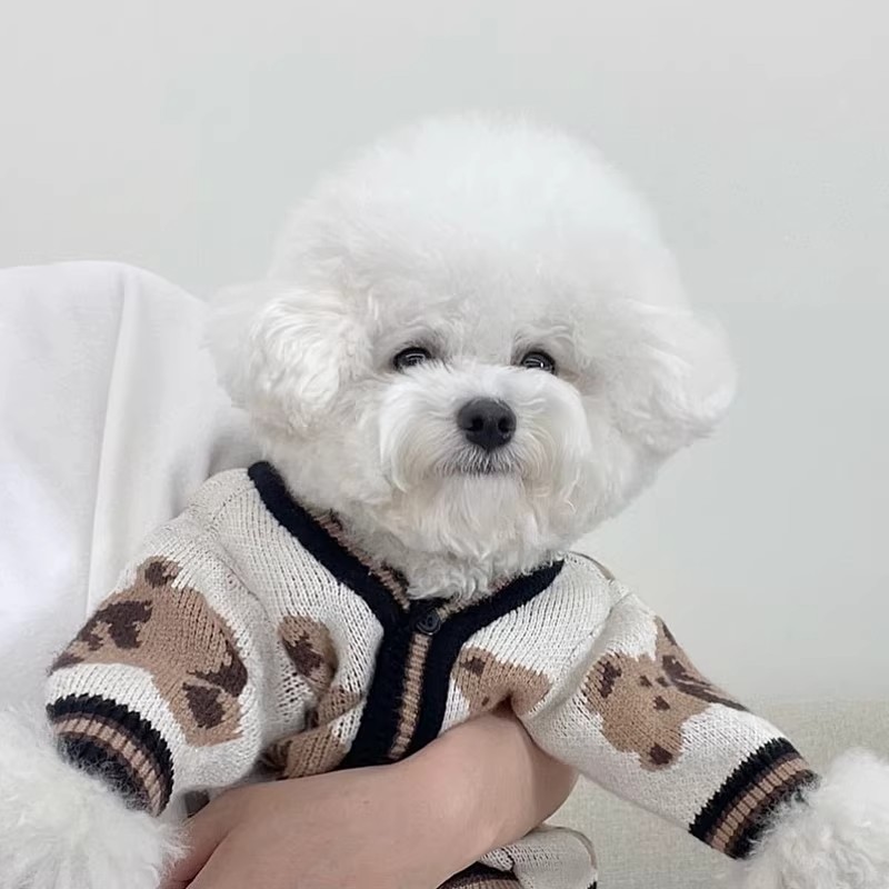 跨境狗狗衣服滿印熊小毛衣比熊泰迪雪納瑞貓咪小型幼犬寵物服飾