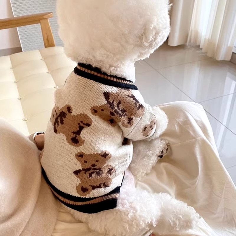 跨境狗狗衣服滿印熊小毛衣比熊泰迪雪納瑞貓咪小型幼犬寵物服飾