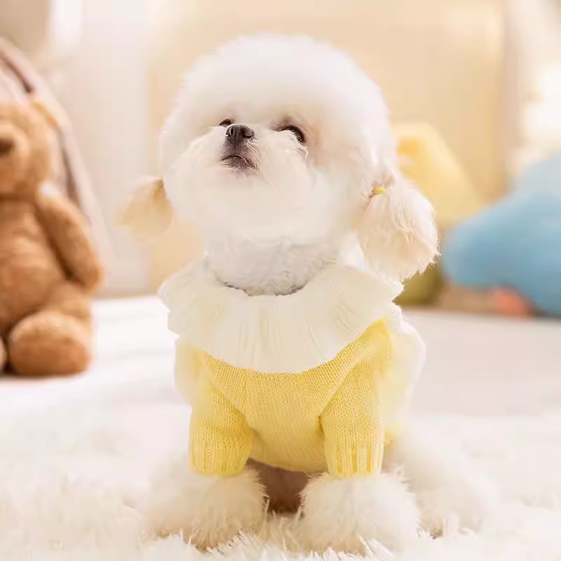 跨境立體星星小狗狗衣服比熊泰迪博美小型幼犬寵物春秋款可愛毛衣