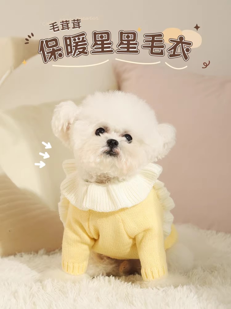 跨境狗狗衣服春裝小型犬博美泰迪比熊幼犬春天寵物小狗毛衣春季