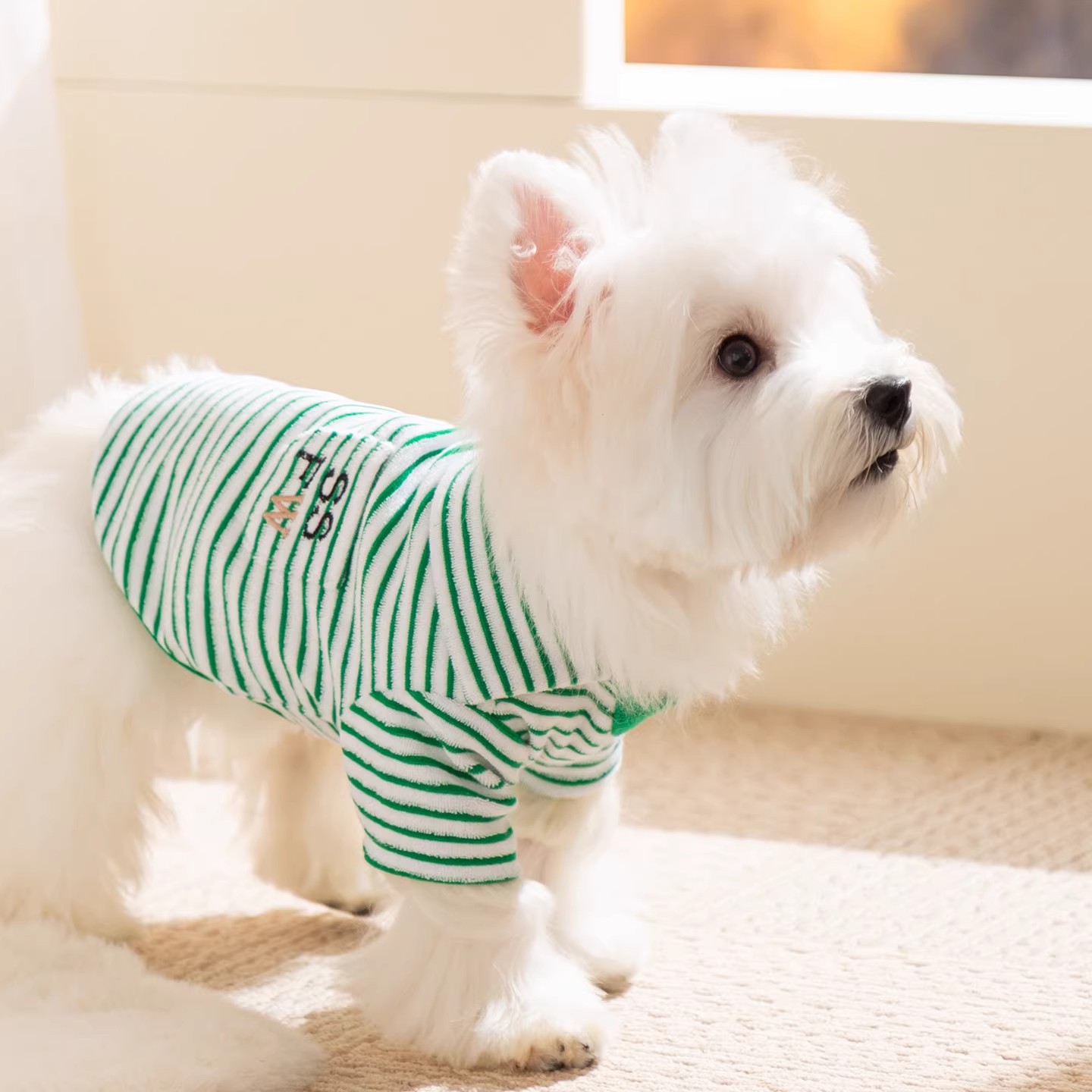 跨境小狗狗衣服條紋毛巾布翻領兩腳衣服中小型犬比熊博美西高地犬