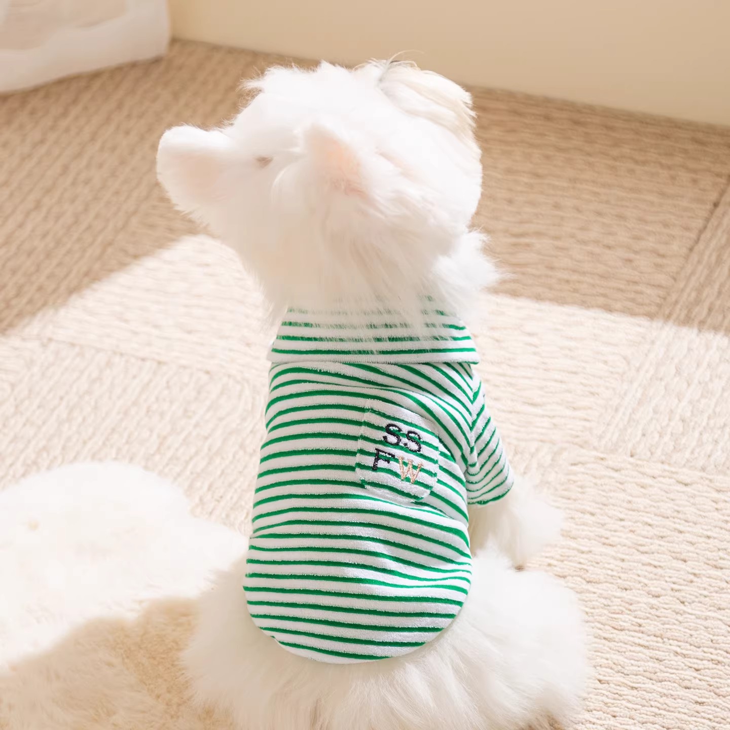 跨境小狗狗衣服條紋毛巾布翻領兩腳衣服中小型犬比熊博美西高地犬