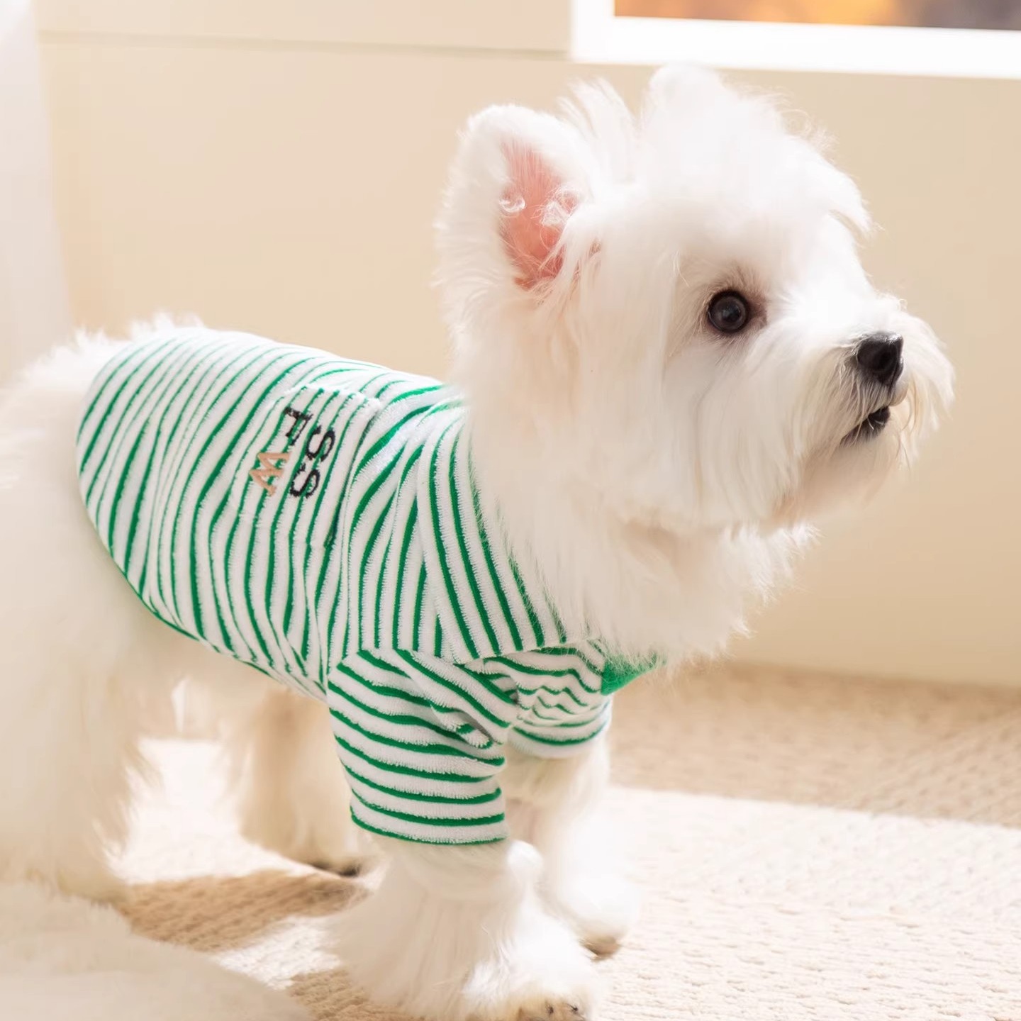 跨境嬉皮狗小狗狗衣服幼犬比熊泰迪雪納瑞中小型犬春秋裝寵物絨衣