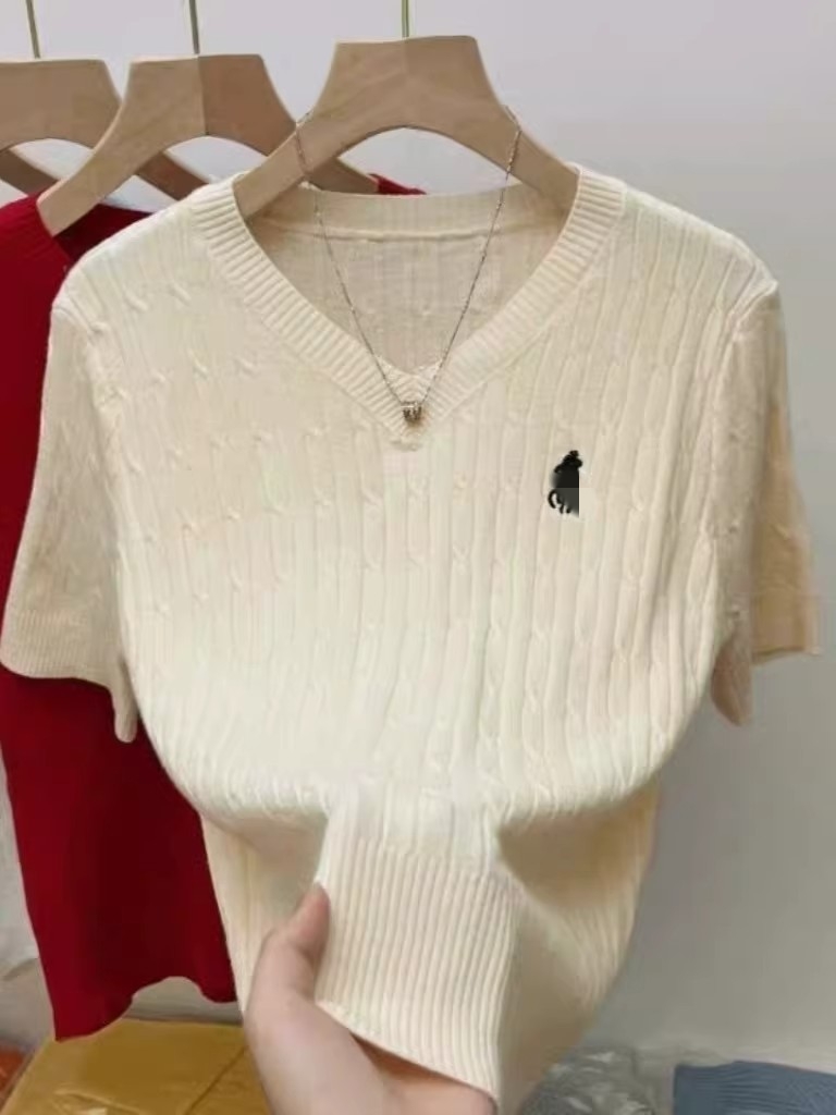 V領T恤刺繡麻花小馬標短袖針織衫夏季新款設計感小眾百搭上衣潮