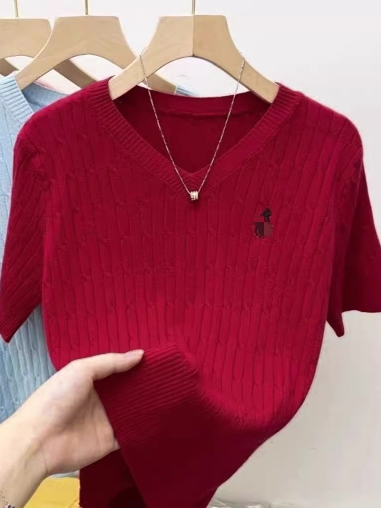 V領T恤刺繡麻花小馬標短袖針織衫夏季新款設計感小眾百搭上衣潮