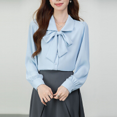 批发蓝色衬衫<b class='q'>女士</b>2026春秋季新款教师面试百搭<b class='q'>职业装</b>穿搭正装雪纺上衣