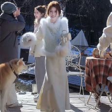 批发婷婷岁岁年年新中式狐狸毛马甲加绒刺绣<b class='q'>旗袍</b><b class='q'>连衣裙</b>冬季套装女