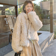 批发羊羔毛环保皮草外套女秋冬季25新款皮毛一体毛毛绒加厚大衣9832