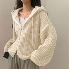 批发26秋冬<b class='q'>韩国</b>慵懒风宽松麻花双开拉链连帽长袖针织开衫毛衣<b class='q'>外套</b>1566