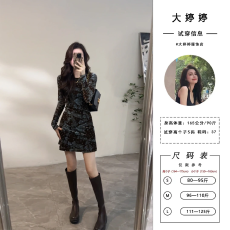 批发秋冬新款圆领短裙加绒长袖印花时尚法式修身<b class='q'>连衣裙</b>