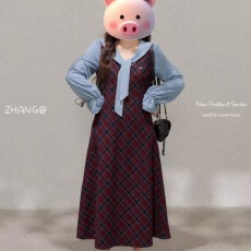 批发2025新款大码女装胖妹妹mm显瘦连衣裙法式复古风格纹<b class='q'>衬衫</b>毛呢裙