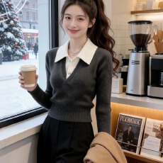 批发轻熟气质翻领长袖<b class='q'>针织</b>衫女秋冬新款慵懒高级感打底毛衣