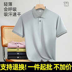 批发支持退货2820#170克冰源六维云沁珠 10A抗菌凉感科技 短袖POLO衫