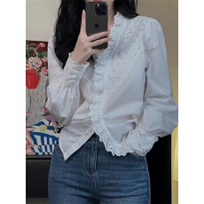 批发法式复古小众设计感刺绣镂空<b class='q'>衬衫</b><b class='q'>女</b>秋季<b class='q'>职业</b>气质<b class='q'>衬衣</b>独特别致上衣