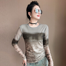 批发高级感印花网纱<b class='q'>T</b><b class='q'>恤</b><b class='q'>女</b><b class='q'>长袖</b>欧洲站独特气质修身圆领设计感上衣秋冬
