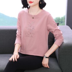 批发纯棉长袖t恤女<b class='q'>夏</b>季2025年新款宽松珠片刺绣上衣妈妈装女士体恤衫