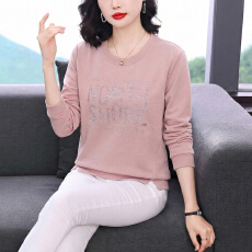 批发2026秋新款圆领卫衣女宽松加<b class='q'>大码</b>女装中老年妈妈休闲刺绣时尚上衣