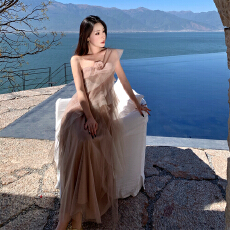 批发法式<b class='q'>大码</b>长款斜肩<b class='q'>连衣裙</b><b class='q'>女</b>春2026新款不规则收腰网纱裙设计感长<b class='q'>裙</b>