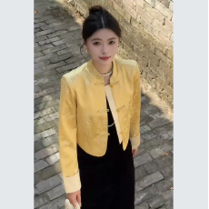 批发秋冬新中式女立领国风提花百搭短外套长袖气质上衣黑色丝绒<b class='q'>连衣裙</b>