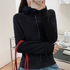 批发原版加厚-奥粒绒面料连帽拉链外套新款秋季韩系长袖<b class='q'>卫衣</b>