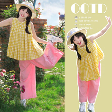 批发现~<b class='q'>孕妇</b><b class='q'>夏新</b>款奶黄格纹娃娃衫+无托腹阔腿裤<b class='q'>孕妇</b><b class='q'>套装</b>