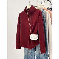 批发实拍2025<b class='q'>冬</b>装新款胖mm大码女加绒加厚半拉链polo领打底长袖T恤