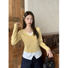 批发实拍2026<b class='q'>春</b>装新款胖mm大码女韩系甜美撞色假两件设计感长袖上衣