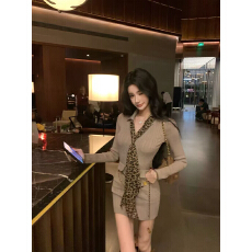 批发Barb Chill<b class='q'>豹纹</b>丝巾配饰针织<b class='q'>连衣裙</b>女秋季修身弹力收腰包臀裙