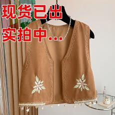 批发波西米亚民族风咖色花朵刺绣背心云南旅游穿搭马夹配裙子度假马甲