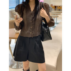 批发chic <b class='q'>韩版</b> 微透 定制面料小众衬衫