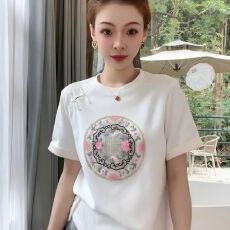 批发2026年中式国风盘扣短袖t恤女装夏季小众高级感独特别致辣妹上衣