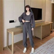 批发仿棉鱼鳞200克】休闲运动套装女<b class='q'>春</b>秋宽松卫衣外套束脚卫裤三件套