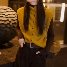 批发2025超火早秋减龄<b class='q'>套装</b>女韩版立领马甲针织衫两件套