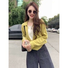 批发撞色拼接Polo领长袖针织衫女早秋季设计感小众独特别致假两件上衣