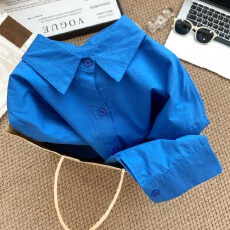 批发实拍巨显白~蓝色polo领长袖衬衫女2026早春宽松显瘦上衣休闲衬衣