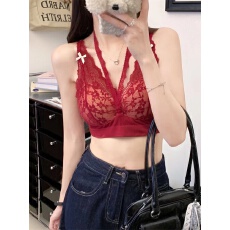 批发<b class='q'>夏</b>季新款蕾丝蝴蝶结拼接性感内衣女性感纯欲深V文胸带胸垫舒适