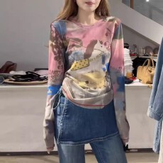 批发官图  高级感印花网纱长袖<b class='q'>t</b><b class='q'>恤</b>女春2026新款防晒衣罩衫上衣打底衫